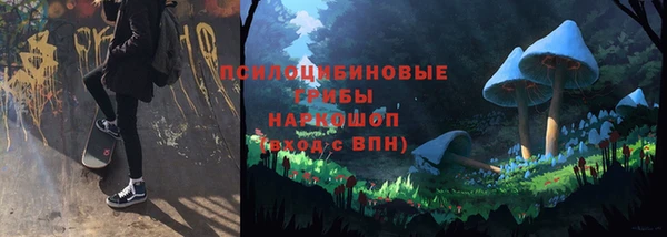 винт Богородицк