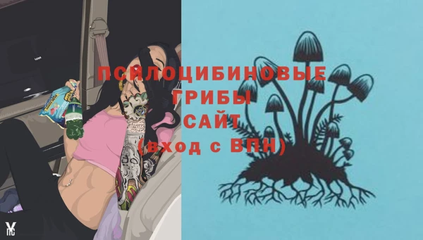 молекула духа Богданович