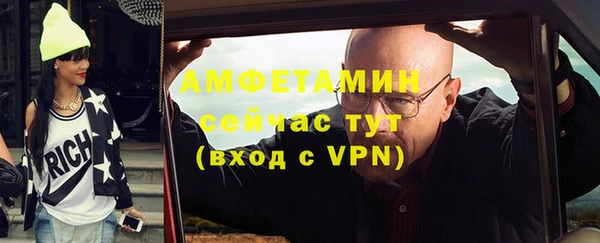 молекула духа Богданович