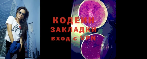 молекула духа Богданович