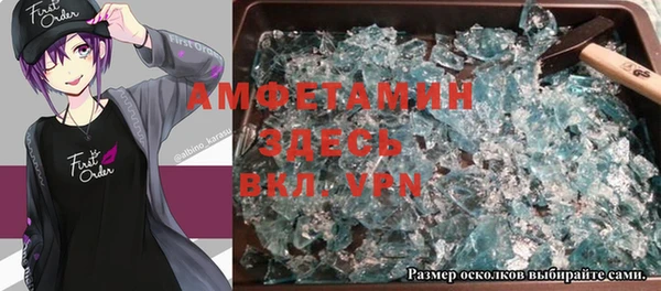 молекула духа Богданович