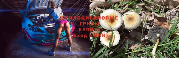 молекула духа Богданович