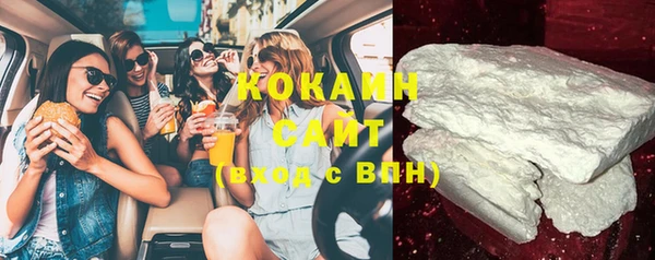 молекула духа Богданович