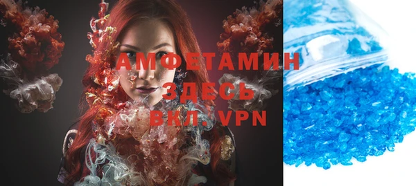 молекула духа Богданович