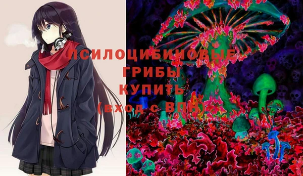 молекула духа Богданович