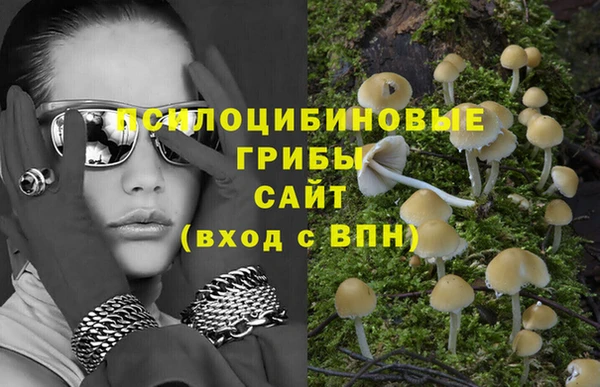 винт Богородицк