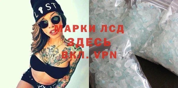 молекула духа Богданович