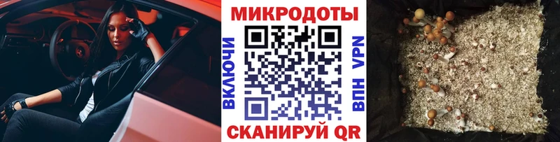 Галлюциногенные грибы мухоморы  сколько стоит  Кызыл 